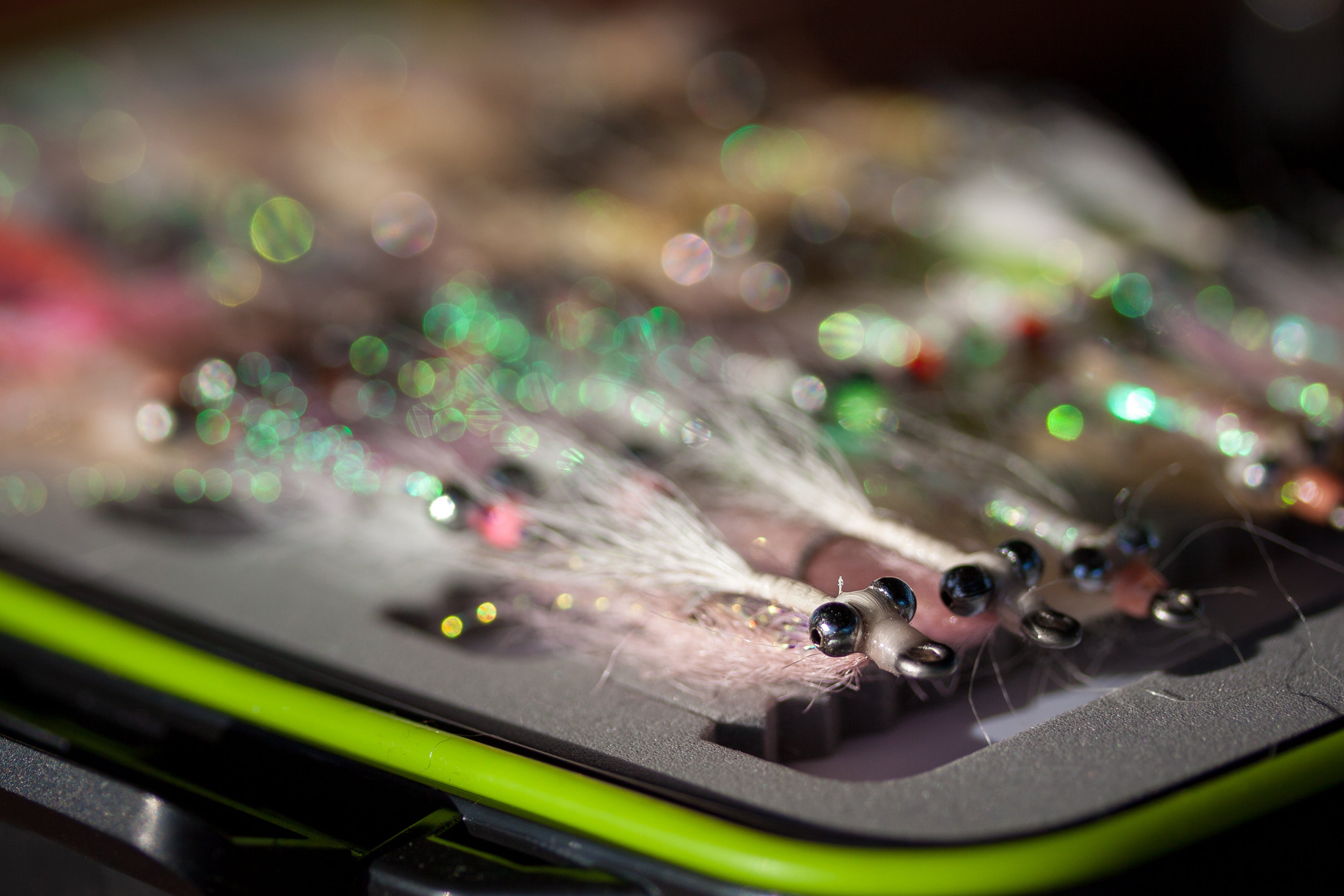 Belize Fly Kit