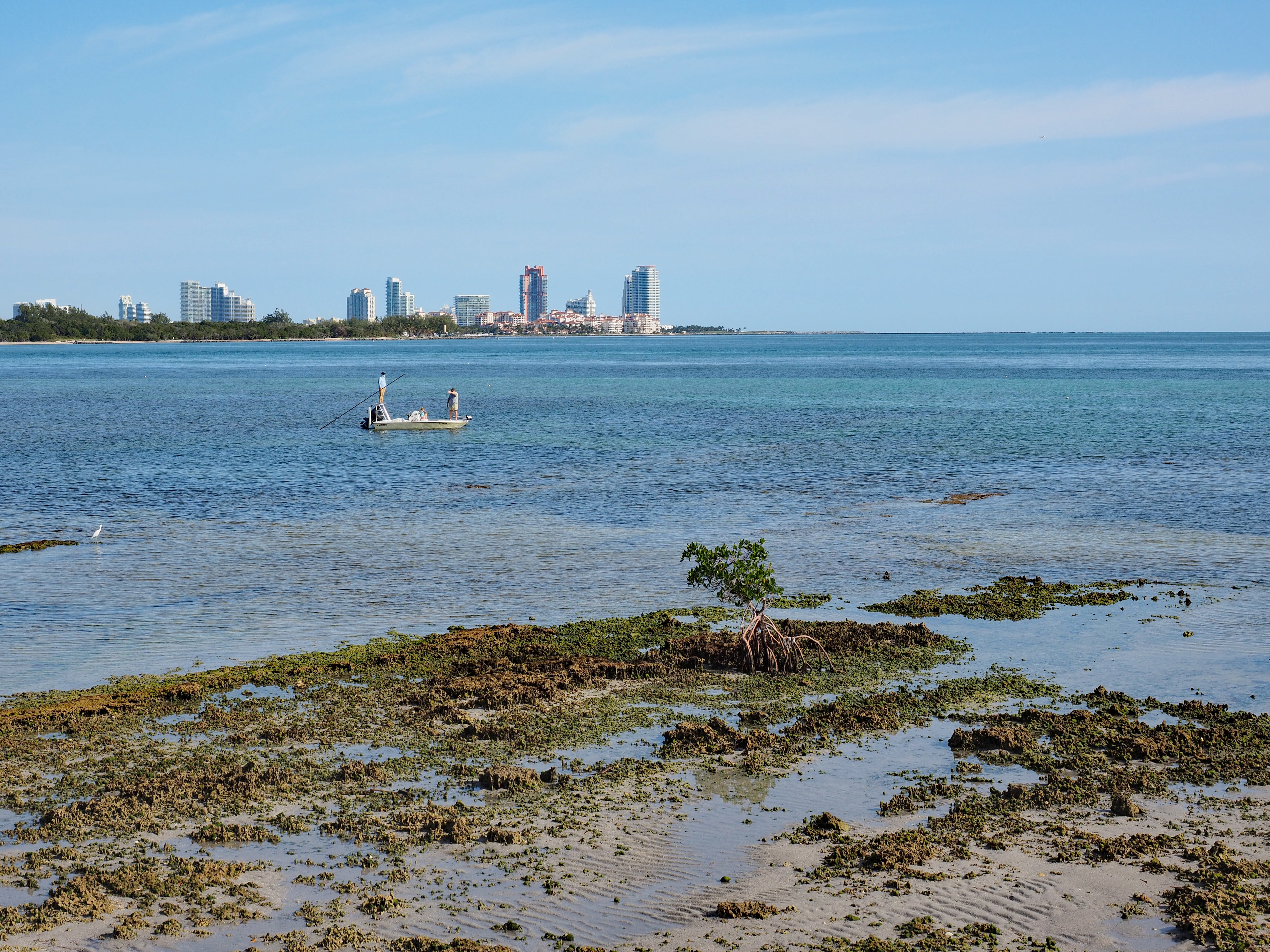 Bird Dog Fly Fishing, Biscayne National Park