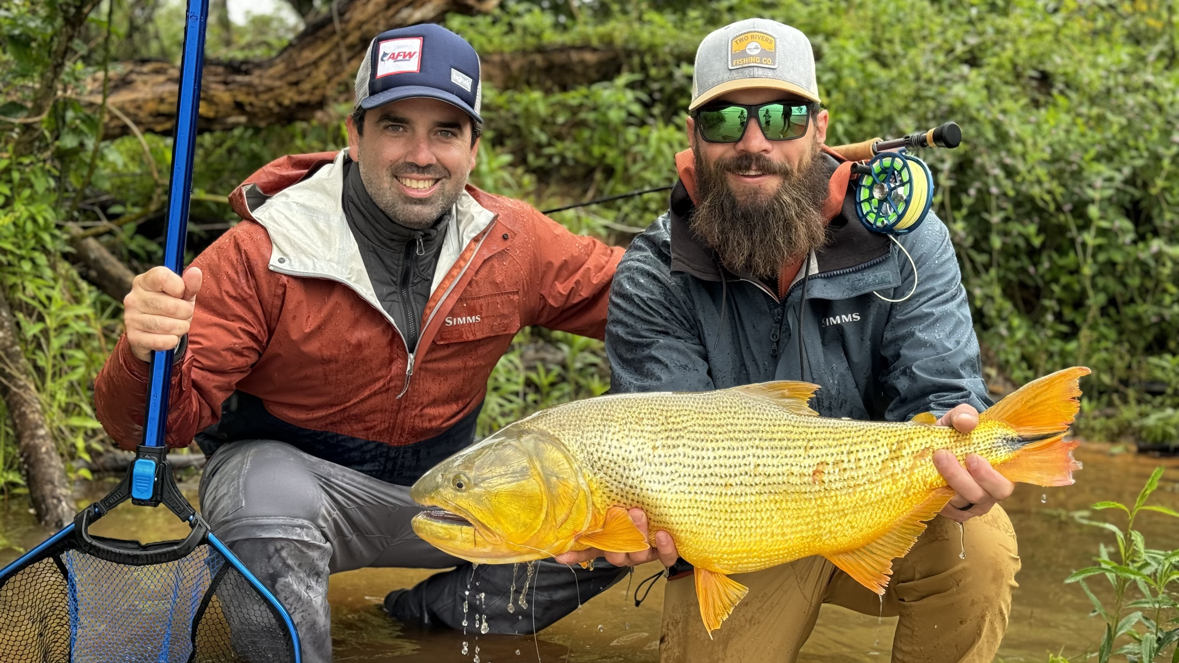 Anglers fly fishing for golden dorado in jungle river with Blackbone travel fishing adventure