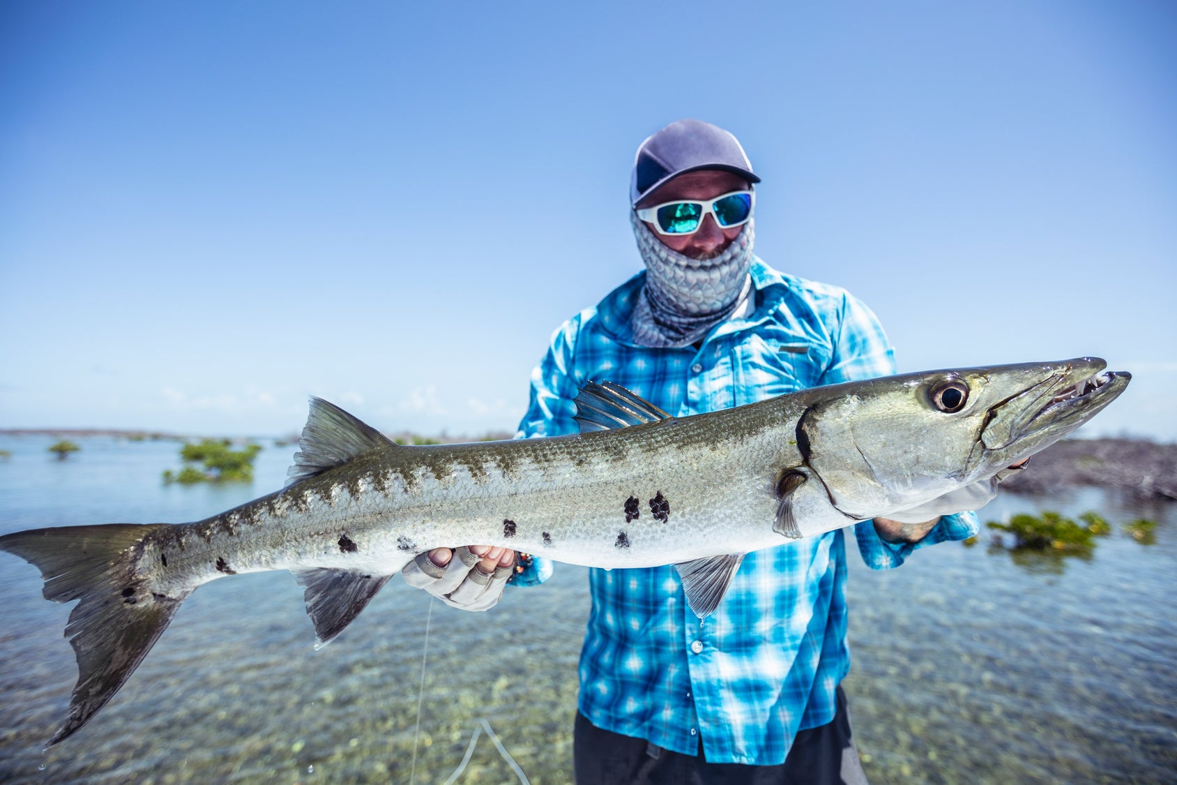 Barracuda Fishing Trips