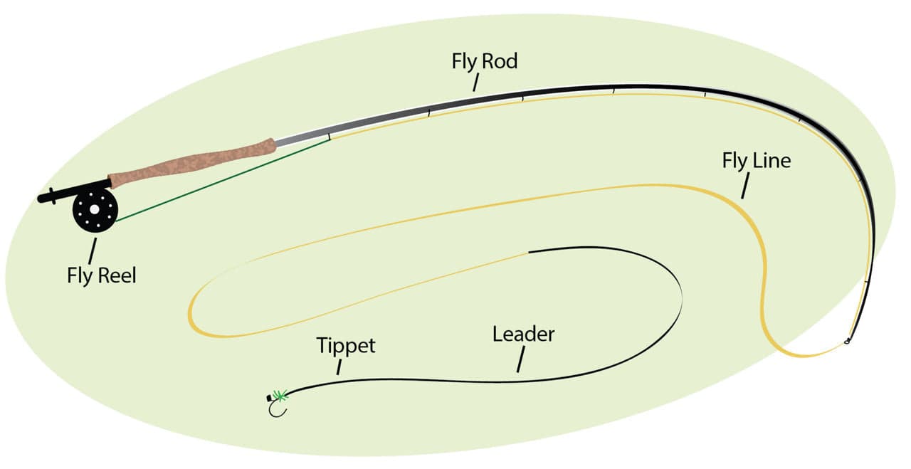 Fly fishing diagram