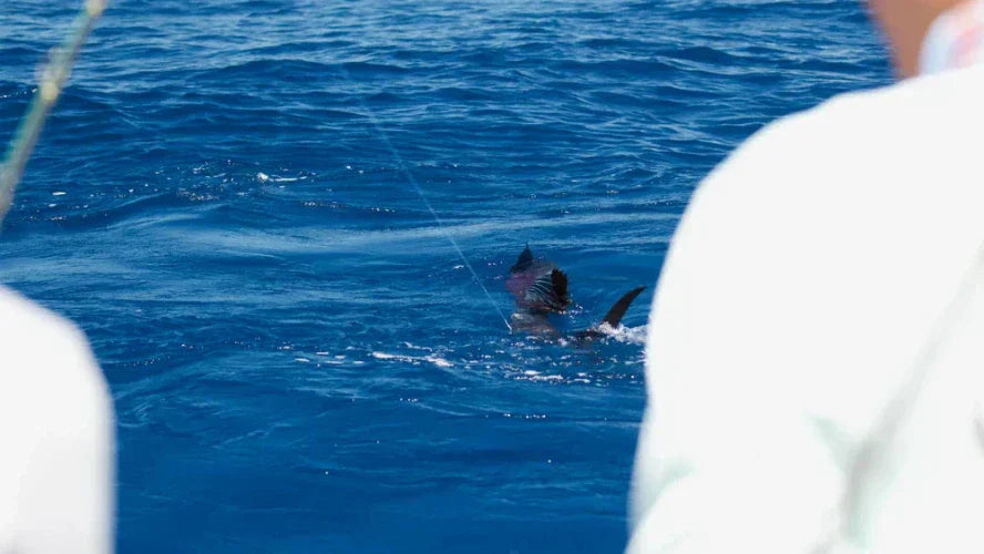 Blackbone Outfitters, World-Class Fly Fishing in Guatemala