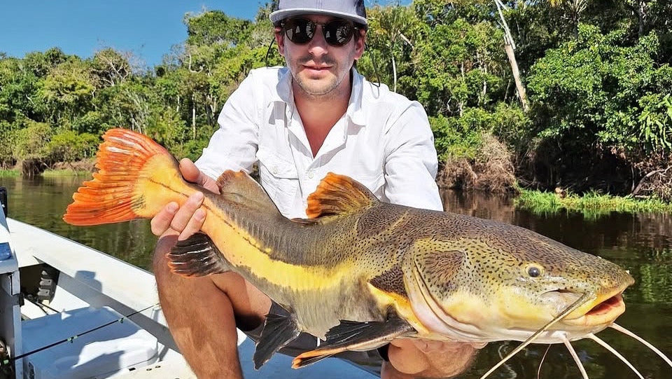 Man holding a large red tail catfish on a dock with a clear blue sky and green trees in the background